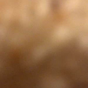 Meet your Posher, Brooklyn